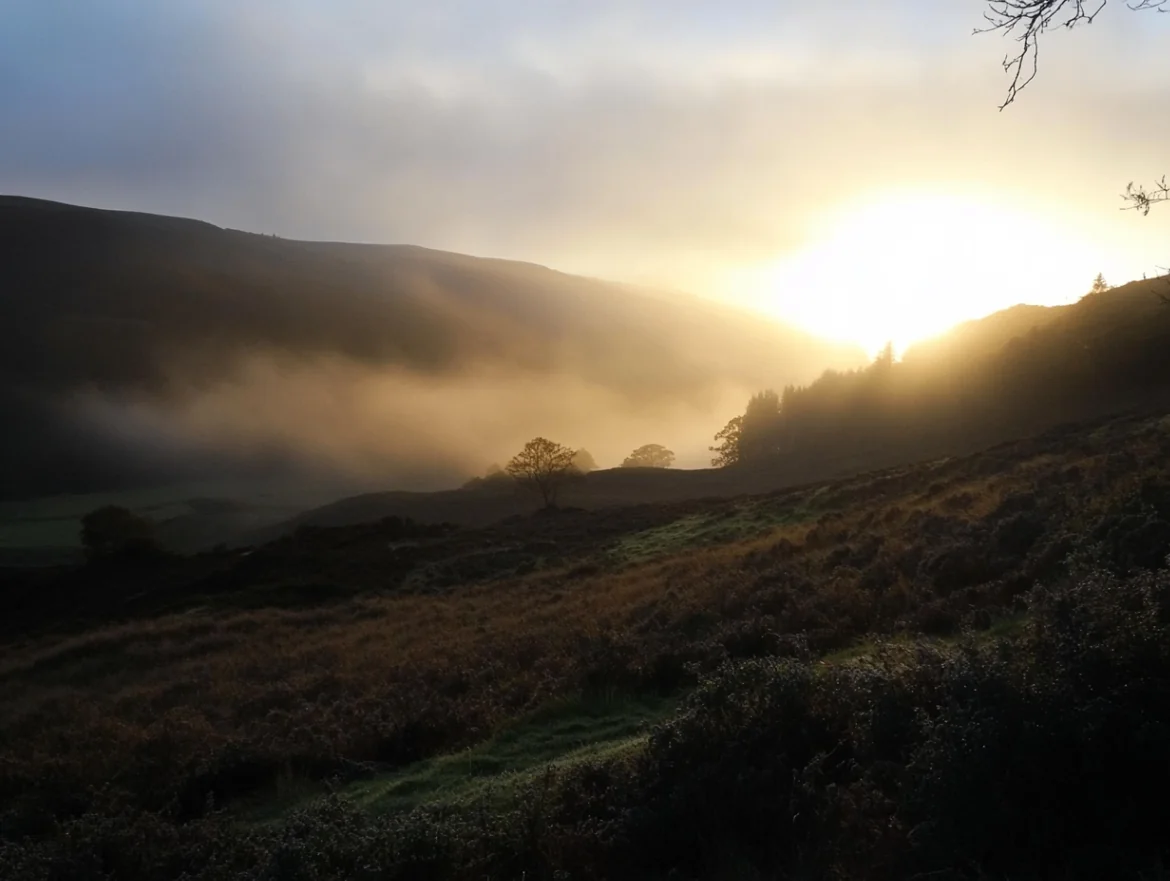 Conceito Malveira Valley  2